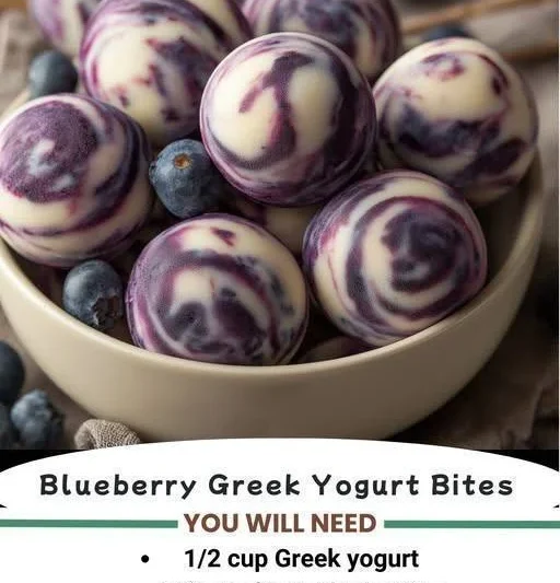 Best Blueberry Yogurt