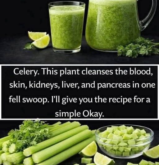 Green Drink for Everyday Wellness